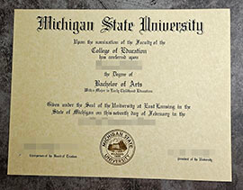 purchase fake Michigan State University degree