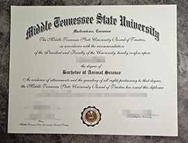 purchase fake Middle Tennessee State University degree