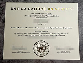 purchase fake United Nations University degree