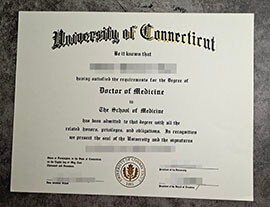 purchase fake University of Connecticut degree