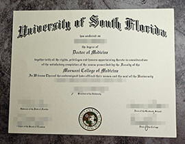 purchase fake University of South Florida degree