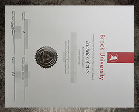 purchase fake Brock University degree