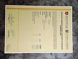 purchase fake Singapore Cambridge GCE Advanced level certificate
