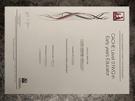 purchase fake CACHE Level 3 NVQ Certificate