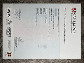 purchase fake Cambridge International Education Level 1 certificate