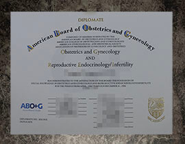 purchase fake American Board of Obstetrics and Gynecology diploma