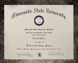 purchase fake Minnesota State University degree