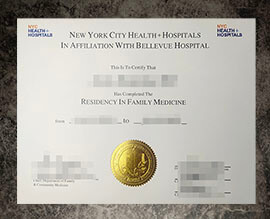 purchase fake NYC Health+ Hospitals certificate