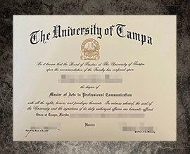 purchase fake University of Tampa degree