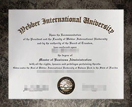 purchase fake Webber International University degree