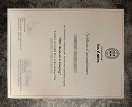 purchase fake Universidad de Los Andes certificate