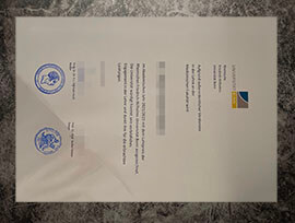 purchase fake Universitat Bonn certificate
