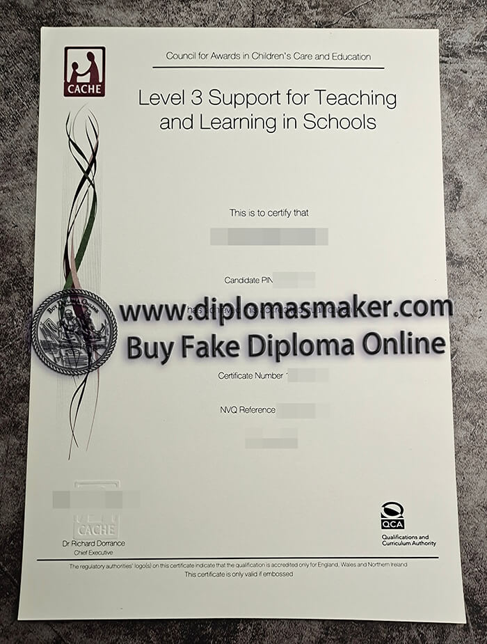 purchase realistic CACHE Level 3 Support for Teaching and Learning in Schools certificate