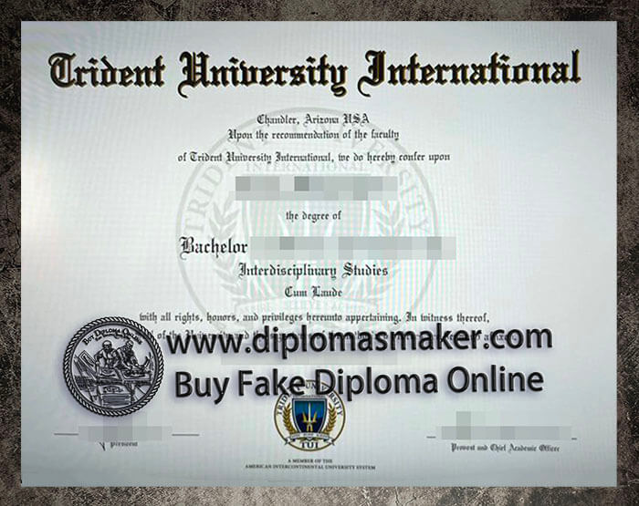 purchase realistic Trident University International diploma