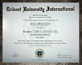 purchase realistic Trident University International degree