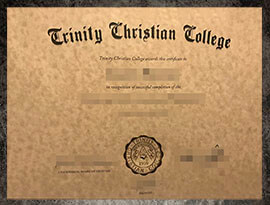 purchase realistic Trinity Christian College degree