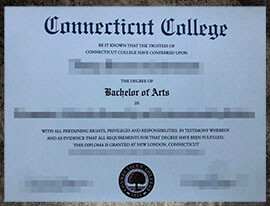 purchase realistic Connecticut College degree