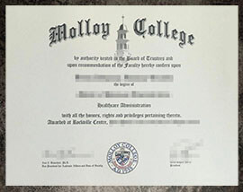 purchase realistic Molloy College degree