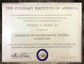 purchase realistic Culinary Institute of America degree