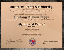 purchase realisti Mount St Mary's University degree