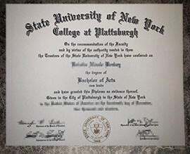 purchase realistic SUNY College at Plattsburgh degree