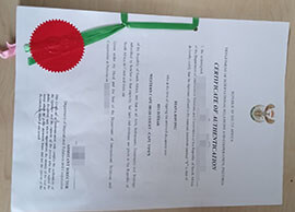 purchase realistic Certificate of Authentication Republic of South Africa