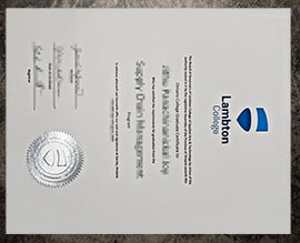 purchase realistic Lambton College degree