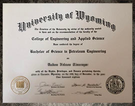 purchase realistic University of Wyoming degree