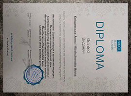 purchase realistic Nikol Beauty Academy diploma